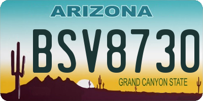 AZ license plate BSV8730