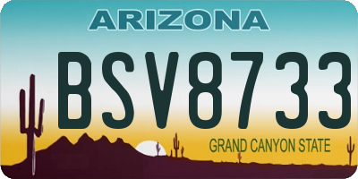 AZ license plate BSV8733