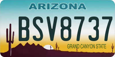 AZ license plate BSV8737