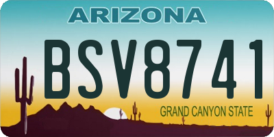AZ license plate BSV8741
