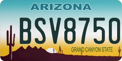 AZ license plate BSV8750