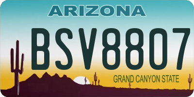AZ license plate BSV8807