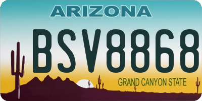 AZ license plate BSV8868