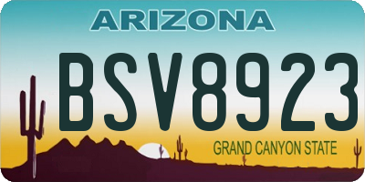 AZ license plate BSV8923