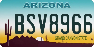 AZ license plate BSV8966