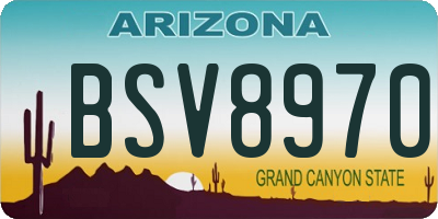 AZ license plate BSV8970