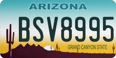 AZ license plate BSV8995