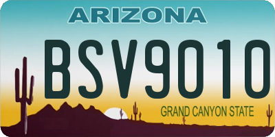 AZ license plate BSV9010