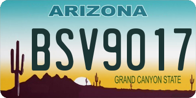 AZ license plate BSV9017