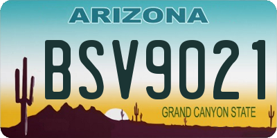 AZ license plate BSV9021