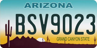 AZ license plate BSV9023