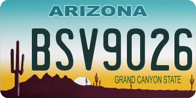 AZ license plate BSV9026