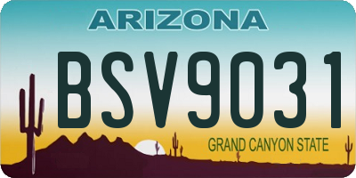 AZ license plate BSV9031