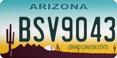 AZ license plate BSV9043