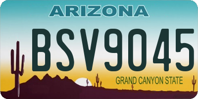 AZ license plate BSV9045