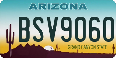 AZ license plate BSV9060