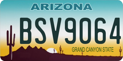 AZ license plate BSV9064