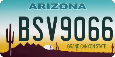 AZ license plate BSV9066