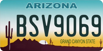 AZ license plate BSV9069
