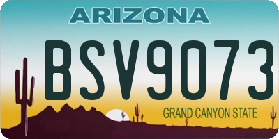 AZ license plate BSV9073