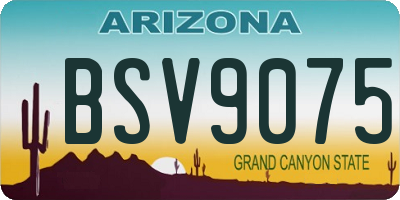 AZ license plate BSV9075