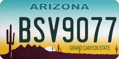 AZ license plate BSV9077