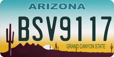 AZ license plate BSV9117