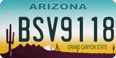 AZ license plate BSV9118