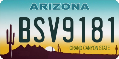 AZ license plate BSV9181