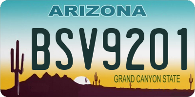 AZ license plate BSV9201