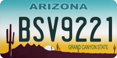 AZ license plate BSV9221