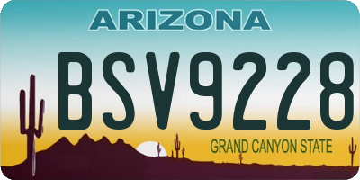AZ license plate BSV9228