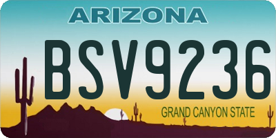 AZ license plate BSV9236