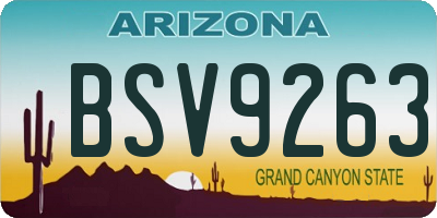 AZ license plate BSV9263