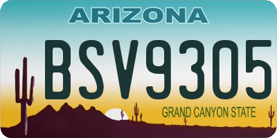 AZ license plate BSV9305