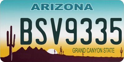 AZ license plate BSV9335