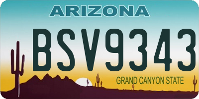 AZ license plate BSV9343