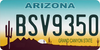 AZ license plate BSV9350