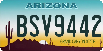 AZ license plate BSV9442