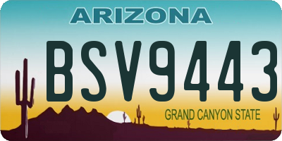 AZ license plate BSV9443