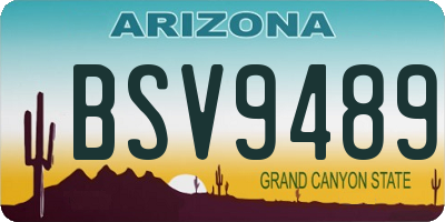 AZ license plate BSV9489