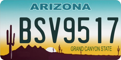 AZ license plate BSV9517