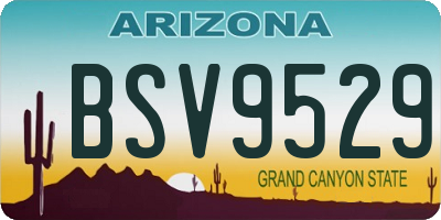 AZ license plate BSV9529