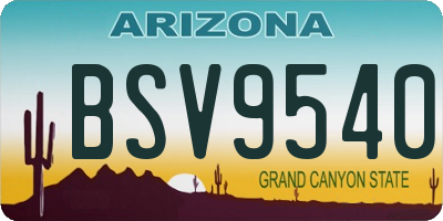 AZ license plate BSV9540