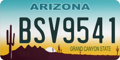 AZ license plate BSV9541