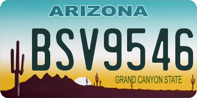 AZ license plate BSV9546