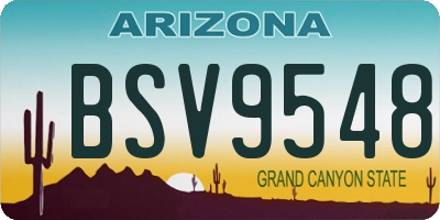 AZ license plate BSV9548