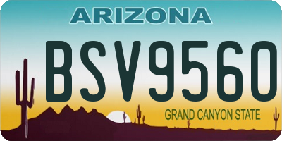 AZ license plate BSV9560