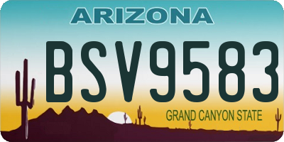 AZ license plate BSV9583