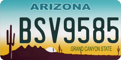 AZ license plate BSV9585
